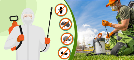 Emergency Pest Control Brookfield